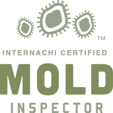 MoldInspector