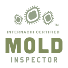 MoldInspector-01